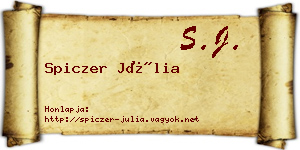 Spiczer Júlia névjegykártya